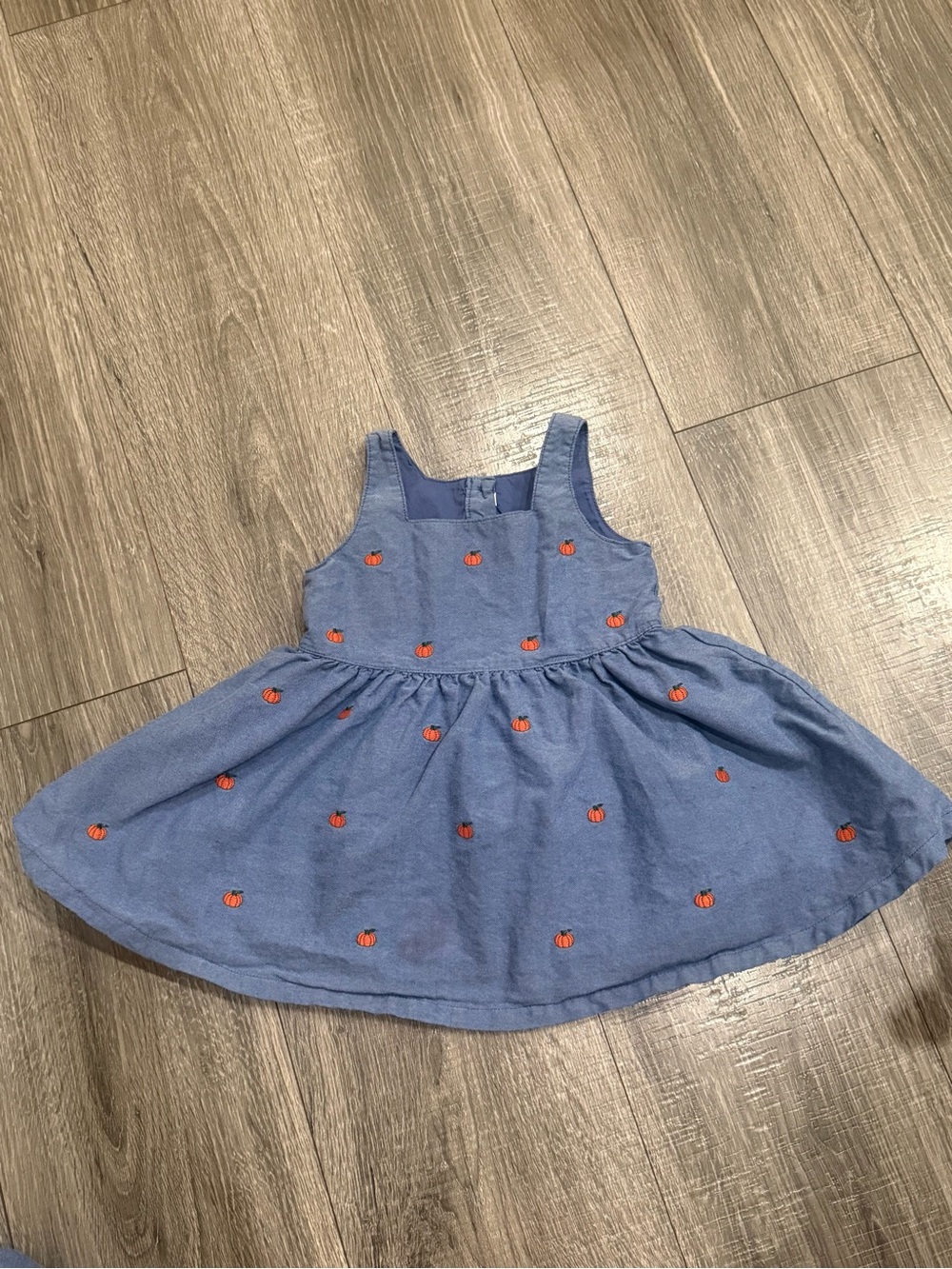 Janie and Jack Blue Sleeveless Dress with Pumpkin Embroidery